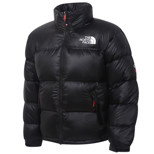 the north face 900 fill goose down